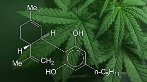 Benefits of CBD Journal
